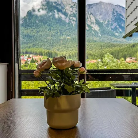 Mountain View By The River - Ev Plug *