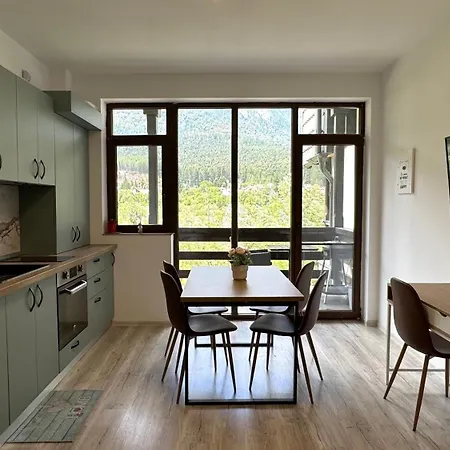 Mountain View By The River - Ev Plug Apartment Busteni