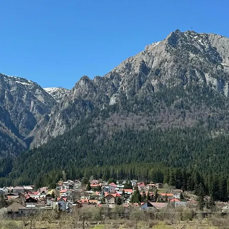 Apartment Mountain View By The River - Ev Plug Busteni