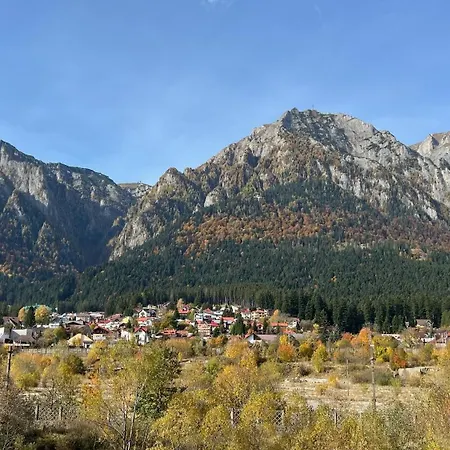 Mountain View By The River - Ev Plug *