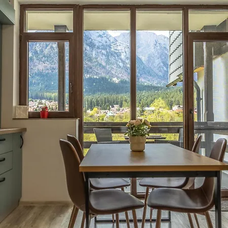 Mountain View By The River - Ev Plug Busteni